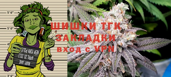 стафф Гусь-Хрустальный